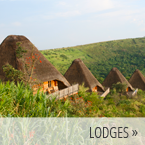 Luxury Lodges